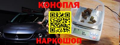 прущие грибы Абакан