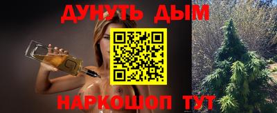 прущие грибы Абакан