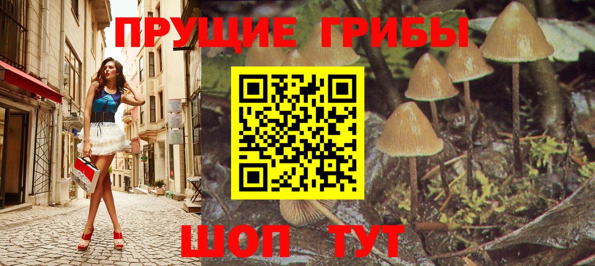 Псилоцибиновые грибы Cubensis Алушта
