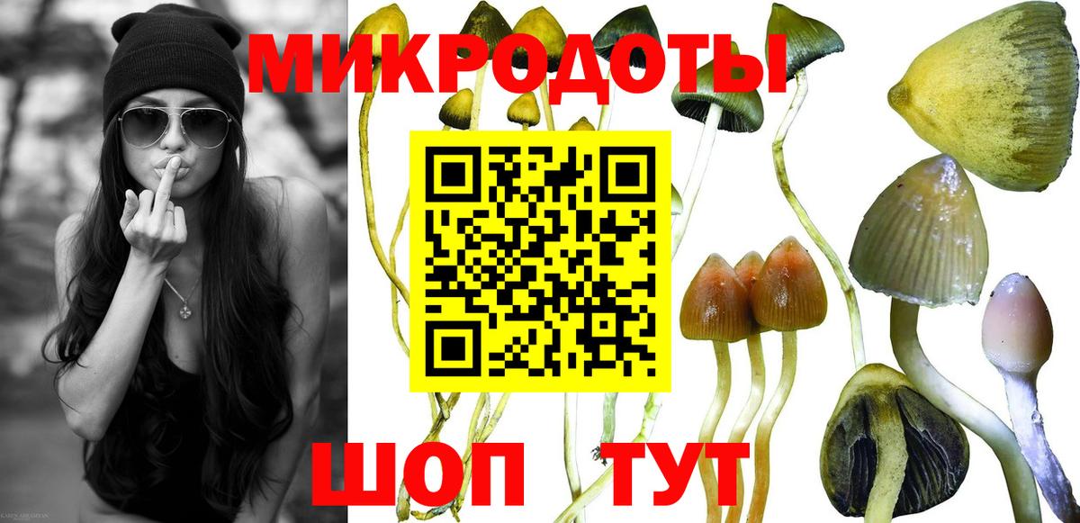 Галлюциногенные грибы мухоморы  Галлюциногенные грибы MAGIC MUSHROOMS  Алушта  Вход с VPN 